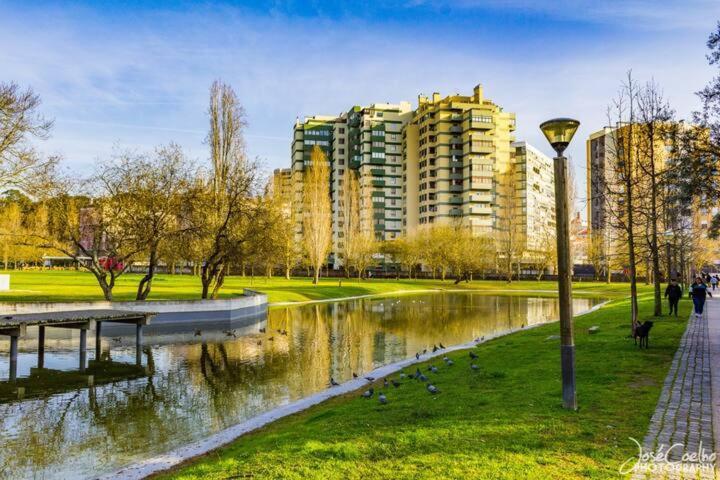 Green Executive Apartment In The Heart Of Lisboa 外观 照片